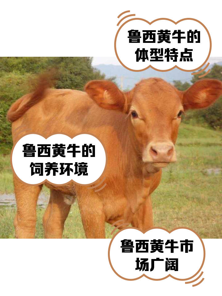 五家渠最新医保取现黄牛方法分析(最方便真实的五家渠医保取现黄牛怎么取方法)