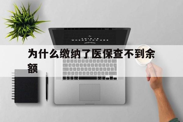 五家渠最新为什么缴纳了医保查不到余额方法分析(最方便真实的五家渠医保交了费怎么查不到方法)